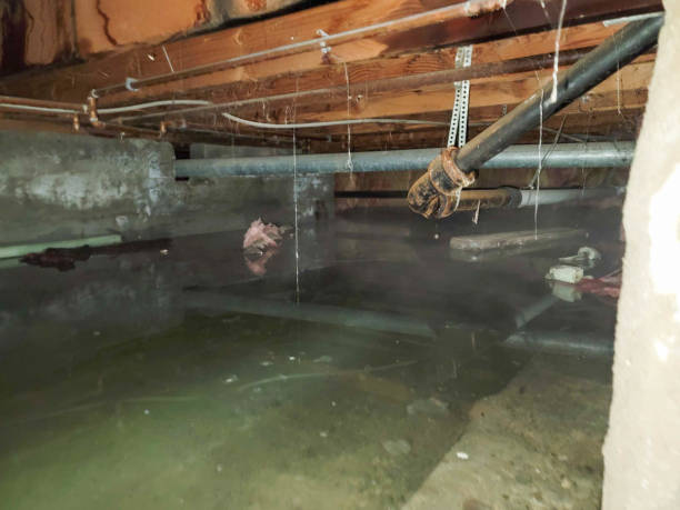 Professional Water damage restoration in Kerens, TX