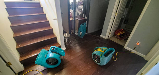 Trusted Kerens, TX Water damage restoration Experts
