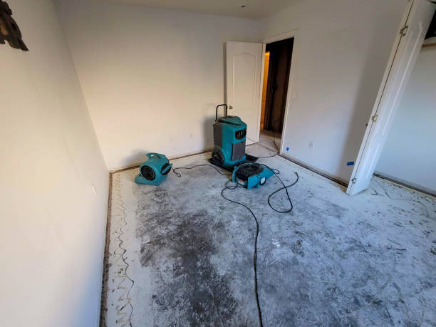 Best Local water damage restoration  in Kerens, TX