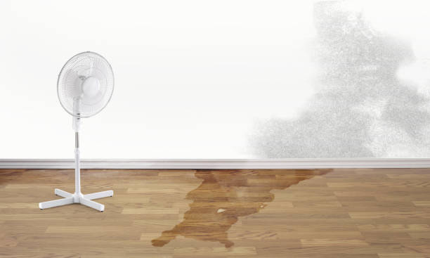 Best Carpet water damage restoration  in Kerens, TX