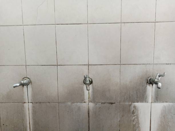 Best Local water damage restoration  in Kerens, TX