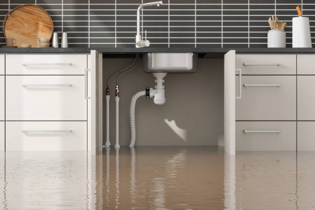 Best Flood damage cleanup  in Kerens, TX