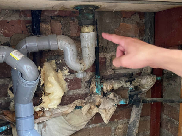 Best Water damage restoration mold remediation  in Kerens, TX