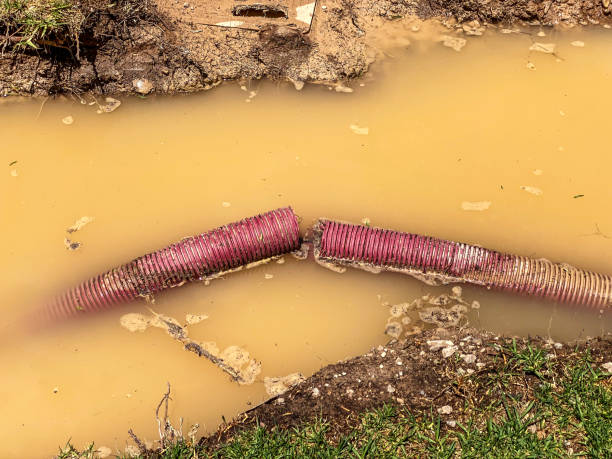 Best Professional water damage repair  in Kerens, TX