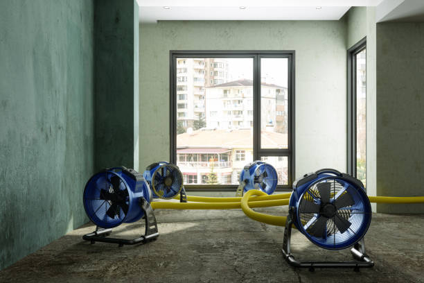 Best Professional water damage repair  in Kerens, TX