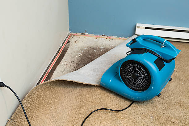 Best Water damage restoration near me  in Kerens, TX